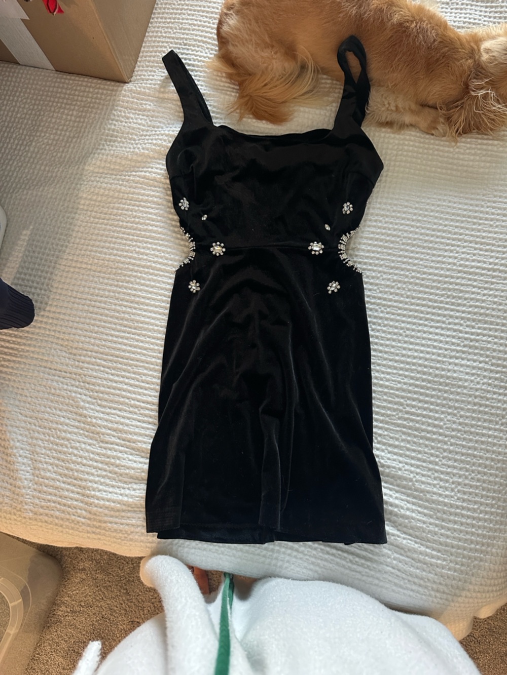 Zara Black Strapless Velvet Dress with Crystal Floral Accents